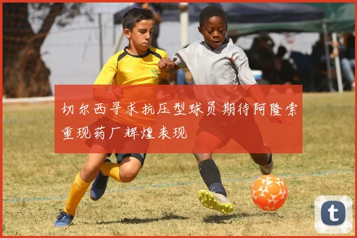 切尔西寻求抗压型球员期待阿隆索重现药厂辉煌表现
