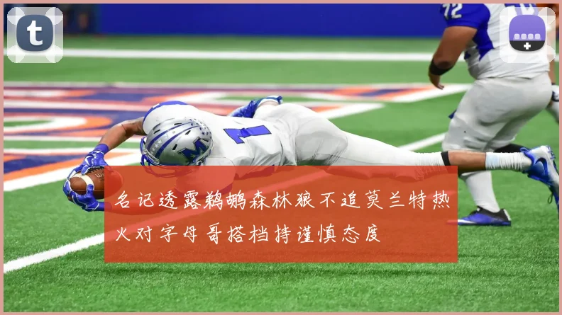 名记透露鹈鹕森林狼不追莫兰特热火对字母哥搭档持谨慎态度